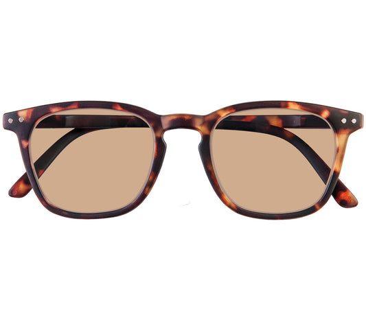 Torino (Tortoiseshell) retro tortoiseshell sunglasses with a slender and soft touch frame. Large brown lenses. Front view.
