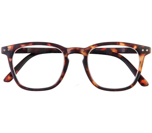 Scholar (Tortoiseshell) retro unisex reading glasses with large oval shaped lenses, slender deep tortoiseshell frame and rivet details. Front view.