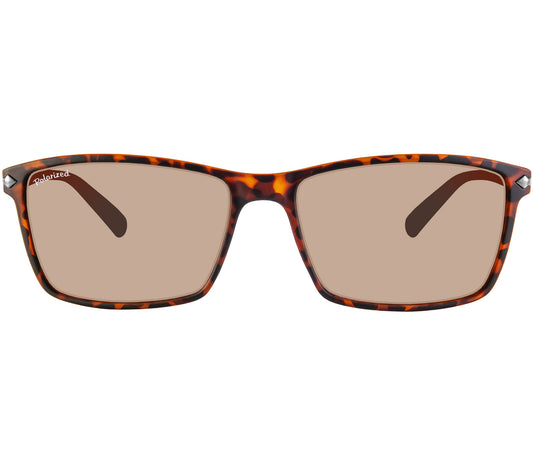 Horizon (Tortoiseshell)