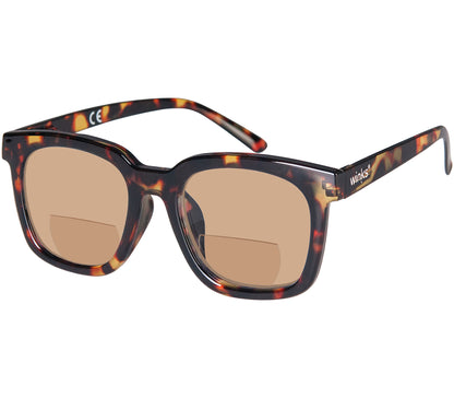 Pisa (Tortoiseshell)