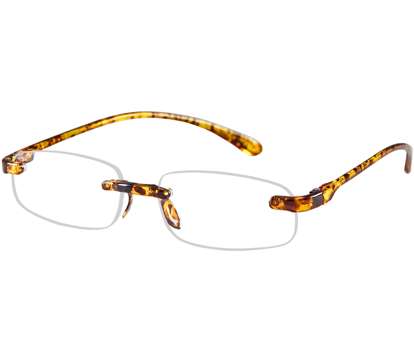 Jelli (Tortoiseshell)