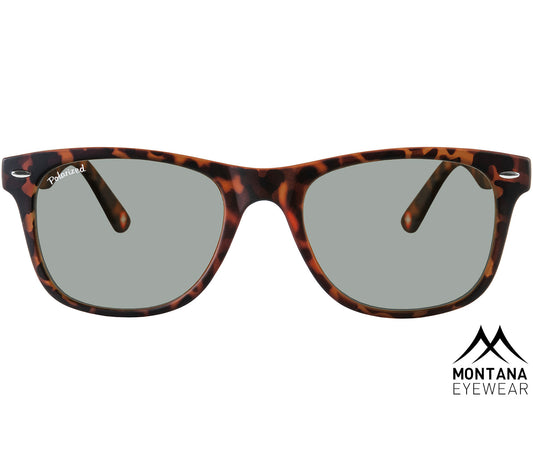 Oasis (Tortoiseshell) classic wayfarer sunglasses with large, green tinted lenses. Front view.