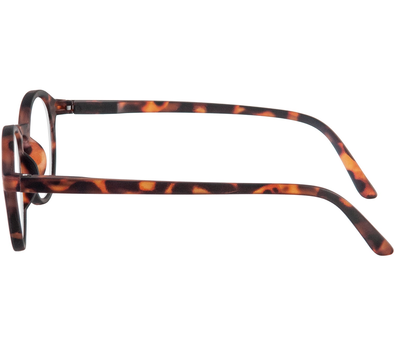Oskar (Tortoiseshell) unisex reading glasses with large round lenses and soft touch deep tortoiseshell frames. Side view.