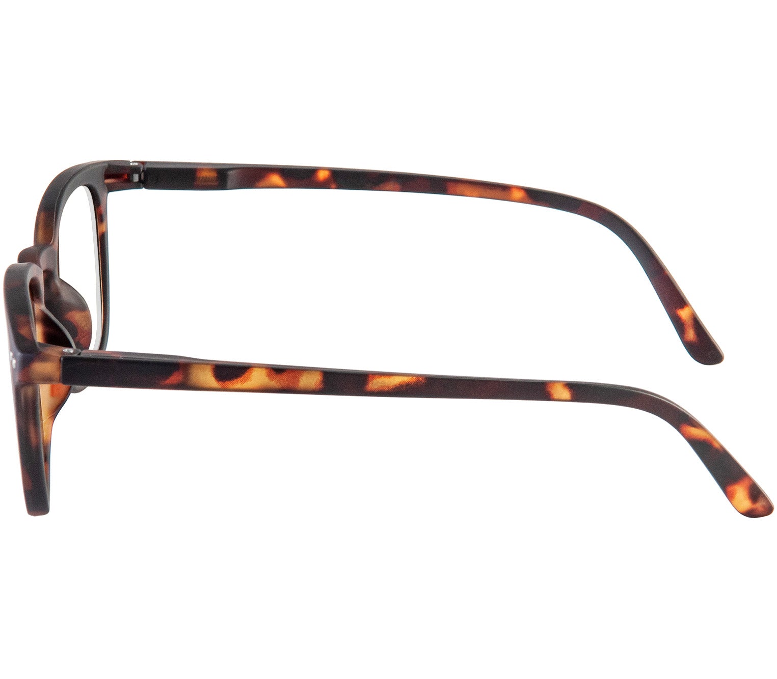 Scholar (Tortoiseshell) retro unisex reading glasses with large oval shaped lenses, slender deep tortoiseshell frame and rivet details. Side view.