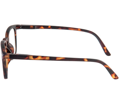 Scholar (Tortoiseshell) retro unisex reading glasses with large oval shaped lenses, slender deep tortoiseshell frame and rivet details. Side view.
