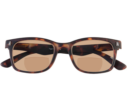 Orbit (Tortoiseshell)