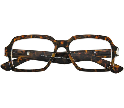 Calvin (Tortoiseshell)