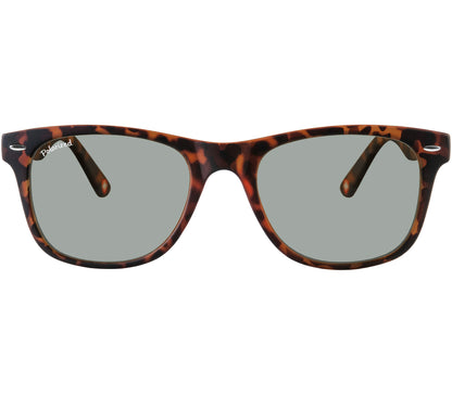 Oasis (Tortoiseshell)