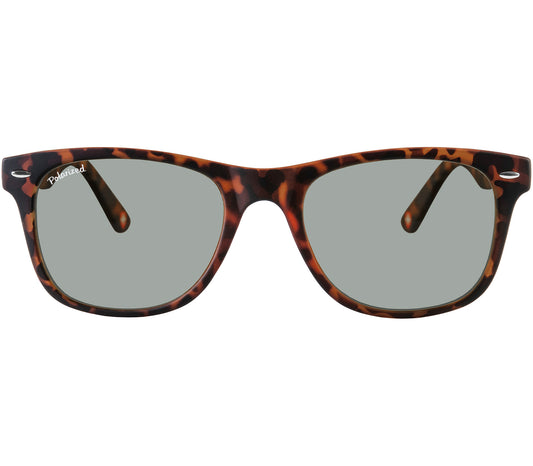 Oasis (Tortoiseshell)