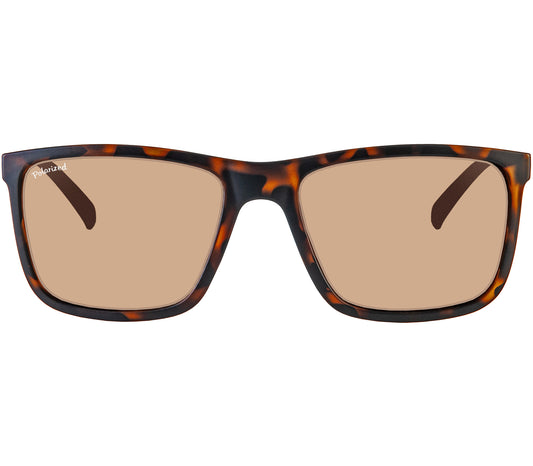 Ibiza (Tortoiseshell)