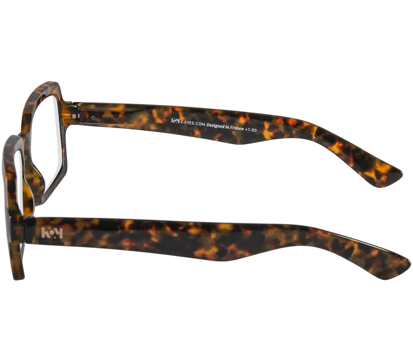 Calvin (Tortoiseshell)