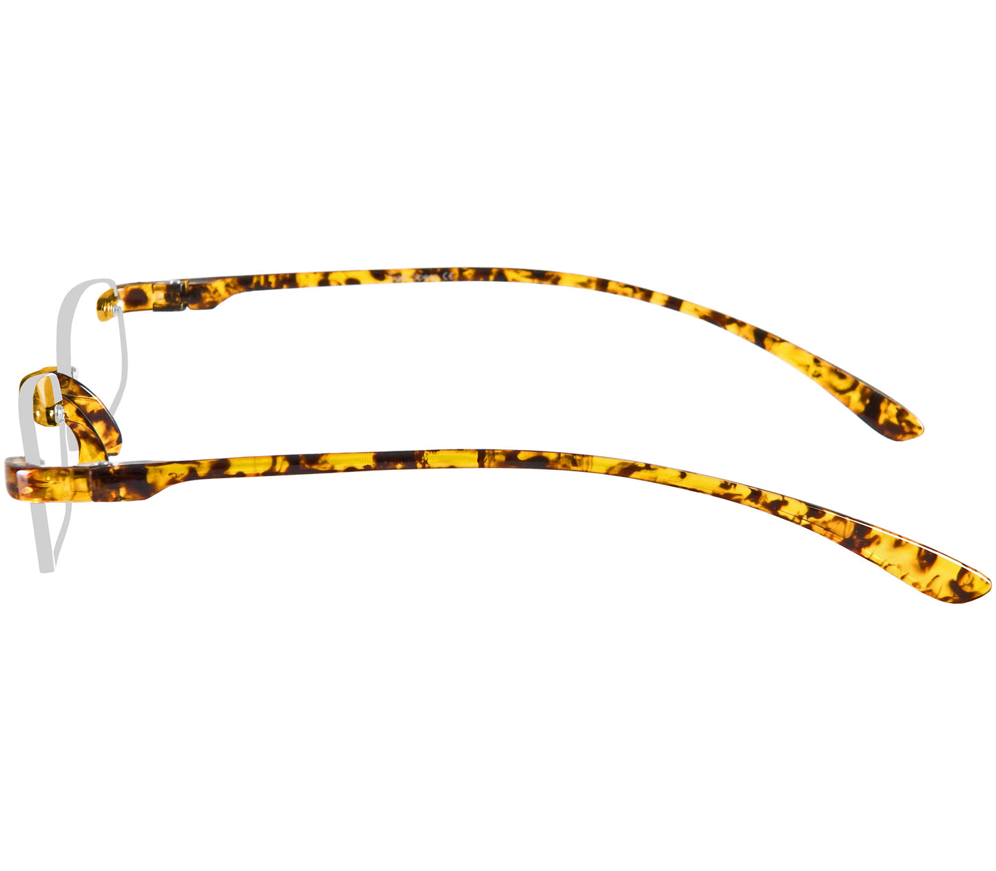Jelli (Tortoiseshell)