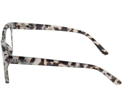 Toast (Grey Tortoise)
